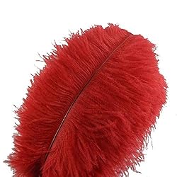 Sowder 10pcs Ostrich Feathers
