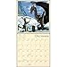 Dragons by Ciruelo 2017 Wall Calendar