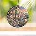 Trend Setters Disney Thomas Kinkade Lady and The Tramp Hanging Glass