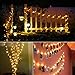 LED String Lights USB Plug-in Fairy Lights with Remote, 2 Pack 100 LED Copper Wire Lights, 8 Modes Dimmable Twinkle Star Fairy Lights Bedroom Party Decoration Wedding (Warm White)