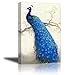 Peacock Wall Art Decor for Bedroom, PIY HD Beautiful Oil Painting Canvas Prints of Elegant Proud Peacock on Beige Pictures (1