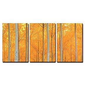 3 Piece Canvas Wall Art - A Stand of Trees Begins to Weather The Fall Cold - Modern Home Art Stretched and Framed Ready to Hang - 16"x24"x3 Panels