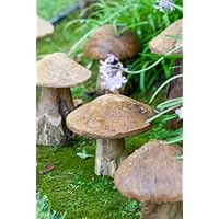 Garden Decorative Reclaimed Teak Mushroom Sculptures Set of 3, Mushroom Garden Figures, Lawn Ornament, Toadstools