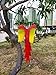 S&F Life Size Hanging Parrot Statue Like a Real Parrot Patio Lawn Ideal Decor for Nature Lovers Tropical Bird Collectors (Wings)