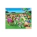Playmobil Paddock with Horses and Foal