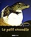 le petit crocodile by 