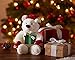 Amazon.com $250 Gift Card with a Holiday Teddy Bear - Limited Edition