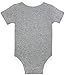Burt's Bees Baby Baby Girls' 2-Pack Organic Poppy Floral & Stripe Bodysuit Set