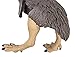 Safari Ltd  Wild Safari Gastornis