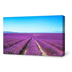 Canvas Wall Art for Living Room,Bedroom Home Artwork Paintings Romantic Lavender Ready to Hang - 12x18 inches