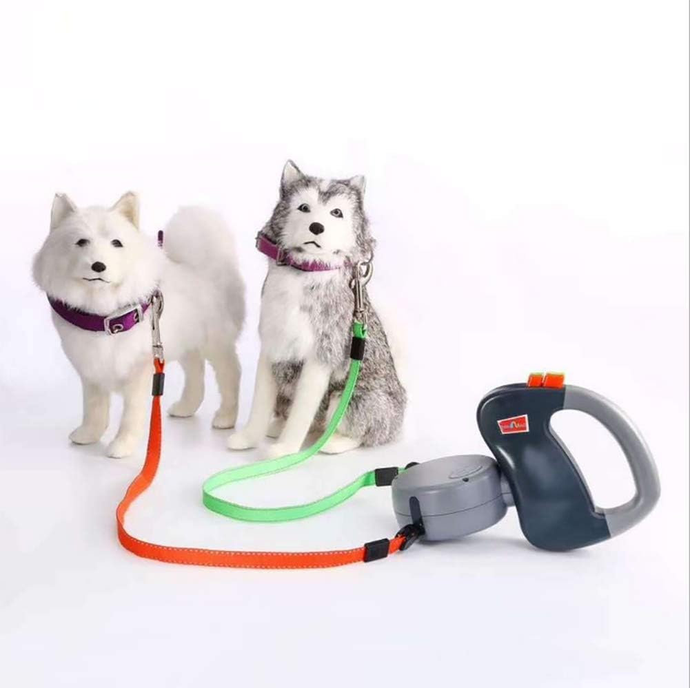 dual extendable dog lead