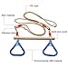 Startostar Adjustable Wooden Trapeze Swing Bar with Plastic Gym Rings, Heavy Duty Adjustable straps Holds up to 264 lbs, Indoor Outdoor Playground Set for Kids