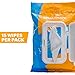 Nathan Body Wipes for Cleansing and Deodorizing After Workout, Camping and Outdoors use Contains Alcohol Refreshing Scent, Travel Size, 15 Count Pack