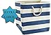 Large Storage Baskets and Bins - Store Toys, Laundry, Clothes for a Bedroom, Kids Room, Nursery, Home Office, Living or Family Room - Blue