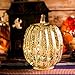 Mercury Glass Pumpkin Light with Timer for Halloween Pumpkin Decorations Fall and Thanksgiving Decor, Sliver,7.5 inches