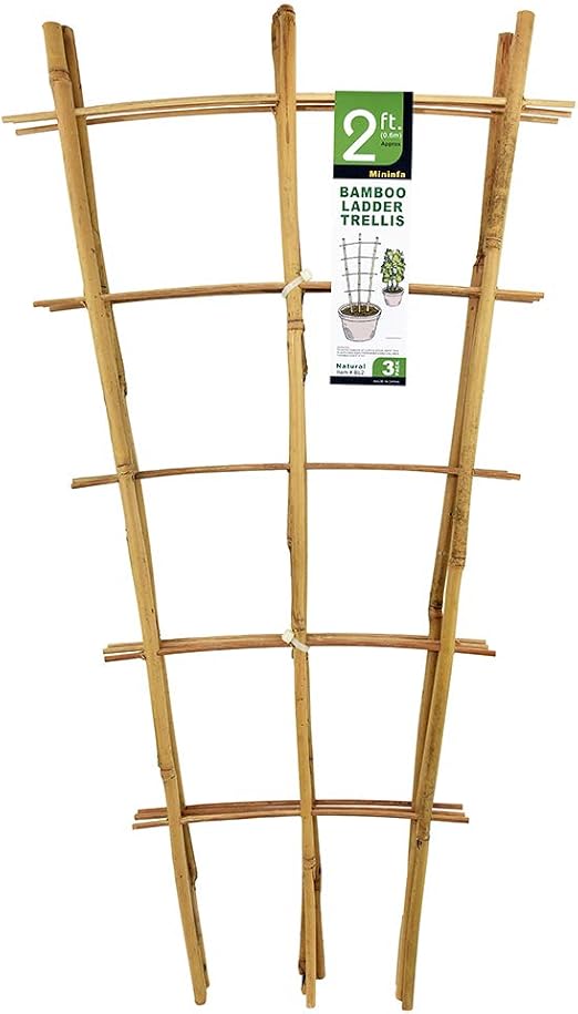 Mininfa Enrejado de bambú natural de 24 pulgadas de alto, enrejado ...