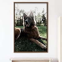 Framed Canvas Wall Art Pupper Animals Chic Dogs Multicolor Photography Urban - 16x24 inches