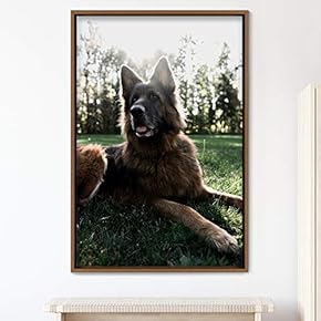 signwin Framed Canvas Wall Art Pupper Animals Chic...