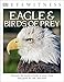 Eyewitness Eagle and Birds of Prey: Discover the World of Birds of Prey―How They Grow, Fly, Live, and Hunt (DK Eyewitness)