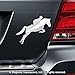 Equestrian Rider Car Magnet