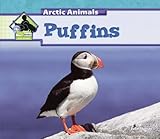 Puffins (Arctic Animals) by