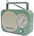 Studebaker SB2000TS Teal/Silver Retro Classic Portable AM/FM Radio with Aux Input