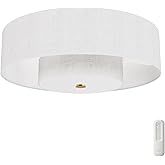 Hunter - Brookside Indoor Fandelier with Light, Remote, 30-inch, Casual-Style, 3-Speed WhisperWind Motor, 52974, Ceiling Fans