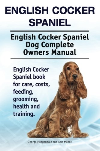 cocker spaniel house training