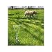 Dog Yard Tie Out Not Just for Dogs but Cats and Any Other Pet That Need Exercise and Fresh Air. This 14