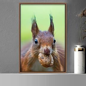signwin Framed Canvas Wall Art Squirrel Animals Fun...