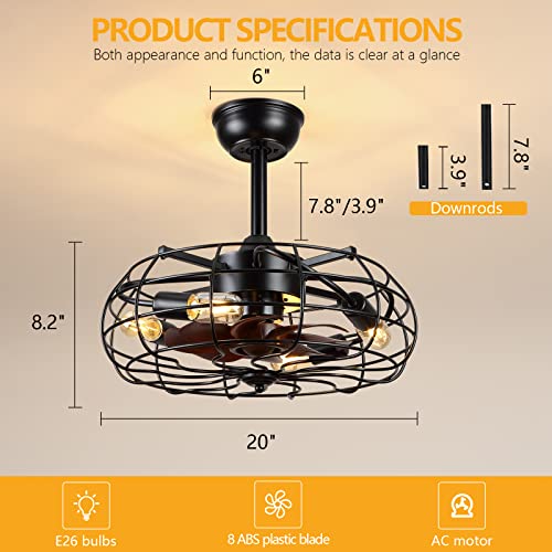 Bladeless Ceiling Fan with Light, Caged Ceiling Fans with Remote