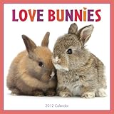 Love Bunnies 2012 Wall (calendar) by 
