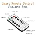 LOENDE Christmas Lights Battery Operated String Lights Outdoor String Lights Waterproof 8 Modes 100 LED Fairy Lights Copper Wire Firefly Lights Remote Control for DIY Wedding Party Decorations