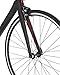 Schwinn Fastback Carbon Road Bike, 51-Centimeter Frame, Matte Blackthumb 4