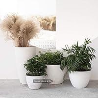 Large Planter Pots Indoor Tree Planter 14 2 Inch Large Flower Pot Outdoor Planters Container Planter With Drain Holes Speckled White Amazon Sg Home