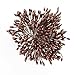 3744pcs(13colors 288pcs/color) 1mm Pearl Double Heads Flower Stamen Pistil (Mixed color 2)