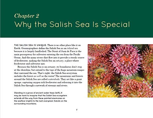 Explore the Salish Sea: A Nature Guide for Kids - Thumbnail 4
