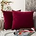 MIULEE Pack of 2 Velvet Soft Solid Decorative Christmas Square Throw Pillow Covers Cushion Case for Sofa Couch Bedroom Car 16x16 Inch Wine Red