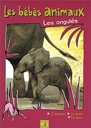 Les Bébés Animaux - Les Ongulés
