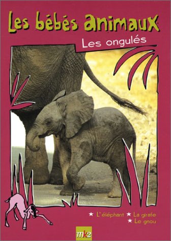 Les Bébés Animaux - Les Ongulés