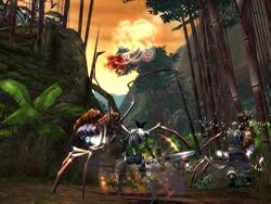 Guild Wars Game of the Year - PC