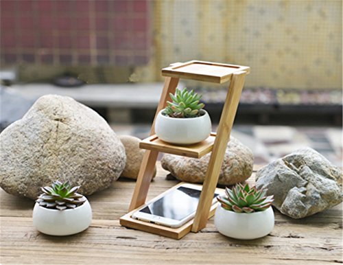 LANKER 3.25 Inch Round White Ceramic Succulent Planter Pots Modern Cactus Pots Container with 3 Tier Bamboo Tray - Pack of 3 (Round 3.2 Inch)