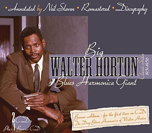 Blues Harmonica Giant - Thumbnail 2