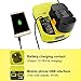 YABELLE P117 Dual Chemistry IntelliPort Charger for All Ryobi 12V-18V ONE+ Lithium Battery & NiCad NIMH Battery US Plug (Battery Not Included, Charger Only)
