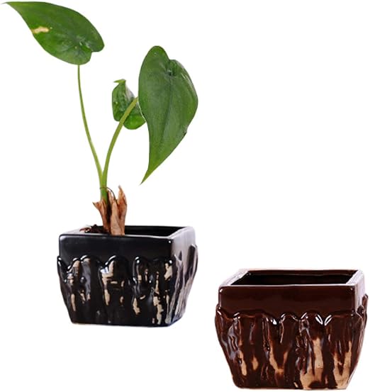 Better Way 3 4 Inch Decorative Flowing Glaze Design Square Ceramic Succulent Plant Container Orchid Flower Pot Windowsill Planter Indoor Bonsai Pots 2 Pack Amazon Co Uk Garden Outdoors