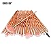 Goddessvan Makeup Brushes 20PCS Make up Foundation Eyebrow Eyeliner Blush Cosmetic Concealer Brushes (Rose Golden)