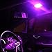 Partsam 8PCS 36mm Festoon 6 SMD LED Bulbs for Car Interior Map Dome Lights, Purple