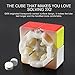 D-FantiX Gan 249 V2 M Magnetic 2x2 Speed Cube Stickerless Gans 2x2 Magic Cube Puzzle Toy (49mm)