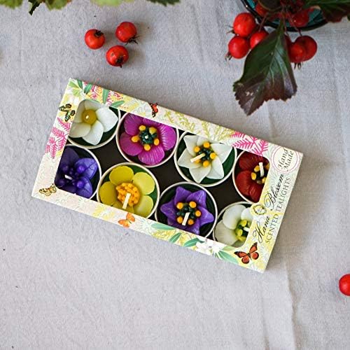 Hana Blossom Assortiment de 8 Bougies Chauffe-Plat parfumées Faites à la Main