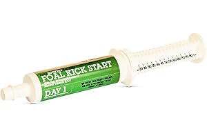 FullBucket Equine Foal Kickstart Paste – Ideal for Newborn Foals on Day 1 to Support Healthy Immune & Digestive System Health, 1 Tube